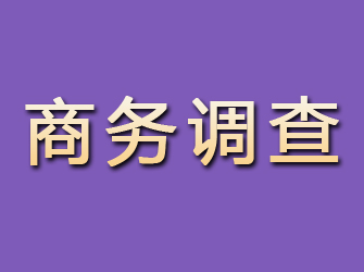 吉水商务调查